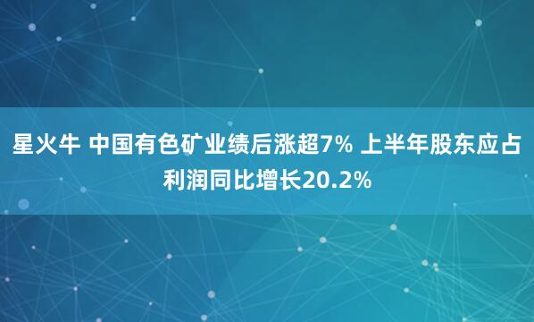 星火牛 中国有色矿业绩后涨超7% 上半年股东应占利润同比增长20.2%