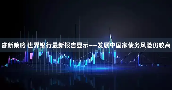 睿新策略 世界银行最新报告显示——发展中国家债务风险仍较高