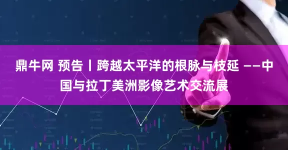 鼎牛网 预告丨跨越太平洋的根脉与枝延 ——中国与拉丁美洲影像艺术交流展